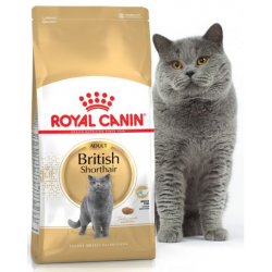 Royal Canin British Shorthair корм для взрослых кошек пород британская короткошерстная и скоттиш-фолд 