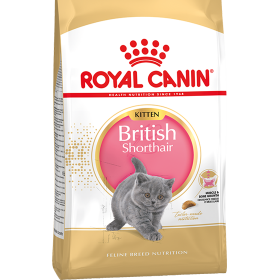 Royal Canin Kitten British Shorthair корм для котят породы британская короткошерстная в возрасте