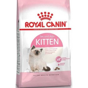 Royal Canin Kitten корм для котят