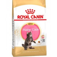 Royal Canin Kitten Maine coon для котят мейн кун