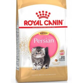 Royal Canin Kitten Persian корм для котят персидской породы
