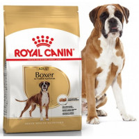 Royal Canin Boxer корм для собак породы Боксер 