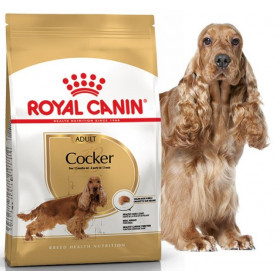 Royal Canin Cocker Adult корм для породы Кокер-спаниелей