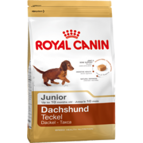 Royal Canin Dachshund Junior корм для щенков Таксы