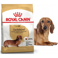 Royal Canin Dachshund Adult корм для Таксы