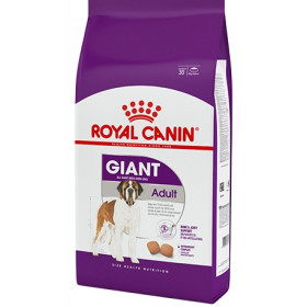 Royal Canin Giant Adult корм для очень крупных собак 