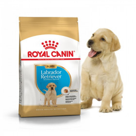 Royal Canin Labrador Retriever Junior корм для щенков Лабрадора 