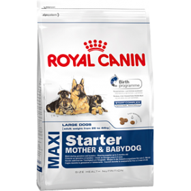 Royal Canin Maxi starter mother and babydog корм для щенков и для сук во время беременности и лактации