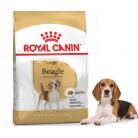 Royal Canin BEAGL ADULT корм для собак породы бигль от 12 месяцев