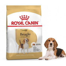 Royal Canin BEAGL ADULT корм для собак породы бигль от 12 месяцев