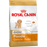 Royal Canin Poodle Junior корм для щенков Пуделя до 10 месяцев