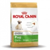 Royal Canin Pug Junior корм для щенков породы Мопс в возрасте до 10 месяцев